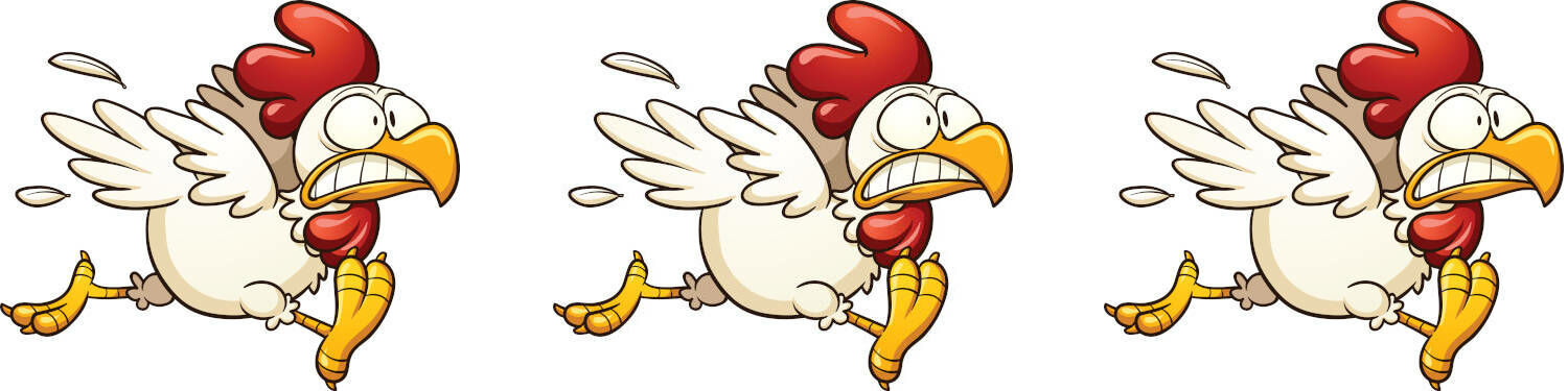 crazychicken.at